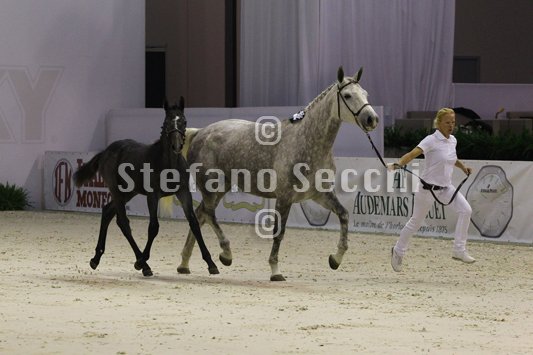 CA D ORO_MILANO_2010_SS3_3926.jpg